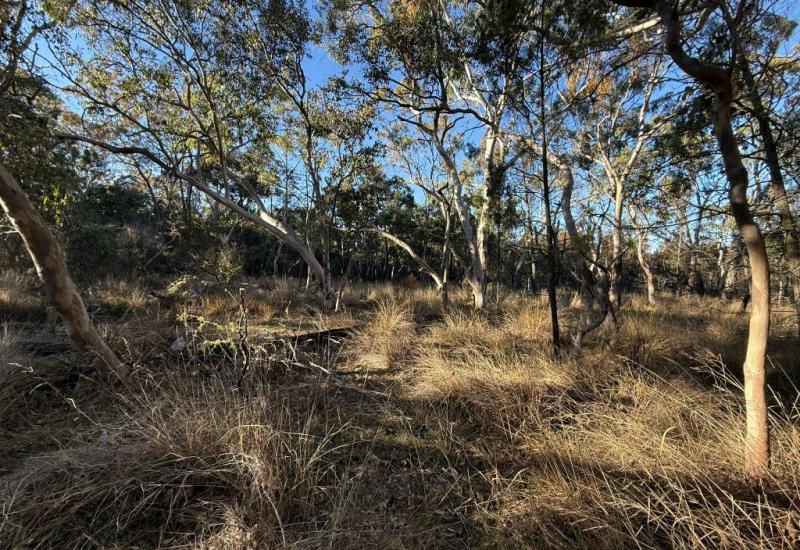 Your own Private natural bushland only minutes South of Stanthorpe
