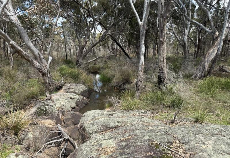 17 Hectares 10 minutes from Stanthorpe