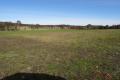 Ideal country lifestyle property/Farming