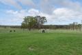Stanthorpe /Broadwater 71 acres