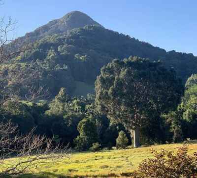 Cooroy Mountain