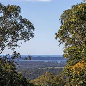 Mark N testimonial image