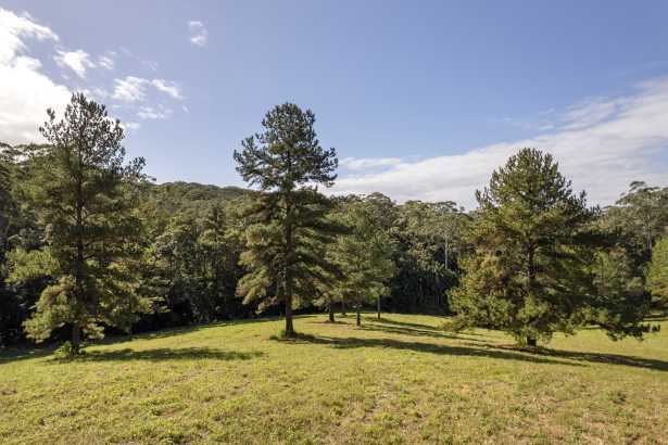EXCLUSIVE OPPORTUNITY – BUILD YOUR DREAM RETREAT IN TINBEERWAH