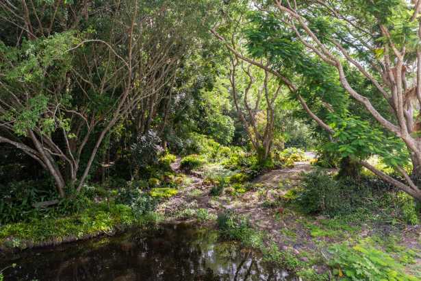 RARE OPPORTUNITY – BUILD YOUR DREAM HOME ON FLAT DOONAN ACREAGE