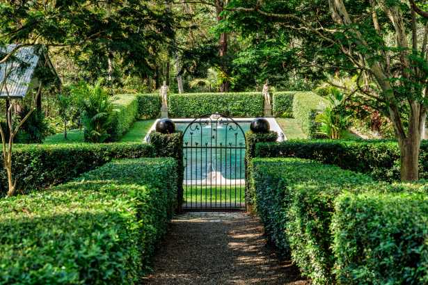 NOOSA HINTERLAND BOTANICAL MASTERPIECE