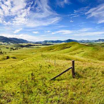 Mitchell Ford testimonial image