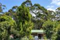 SEA CHANGE/ TREE CHANGE - swim or bush walk!