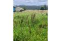 Approx. 2000m2 of rich river flat close to Cann River