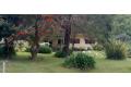 Lovely home in a rural setting on 7900m2.