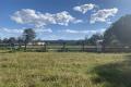 Approx half acre of rich river flat close to Cann River