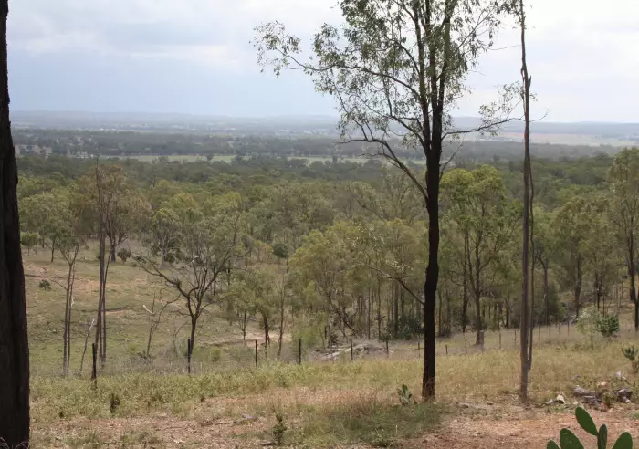 View from back fence