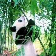 Trustworthy, honest and knowledgeable