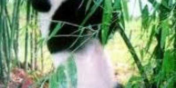 Angus and Anna Mason testimonial image