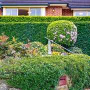 Douglas, A focused agent and skilled negotiator he is committed