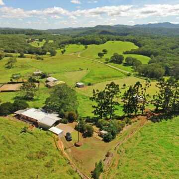 Mark & Julie Birdsall testimonial image