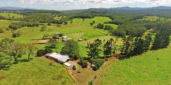 Mark & Julie Birdsall testimonial image