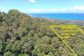 Vacant Land/Unique 2.17 ha Rainforest