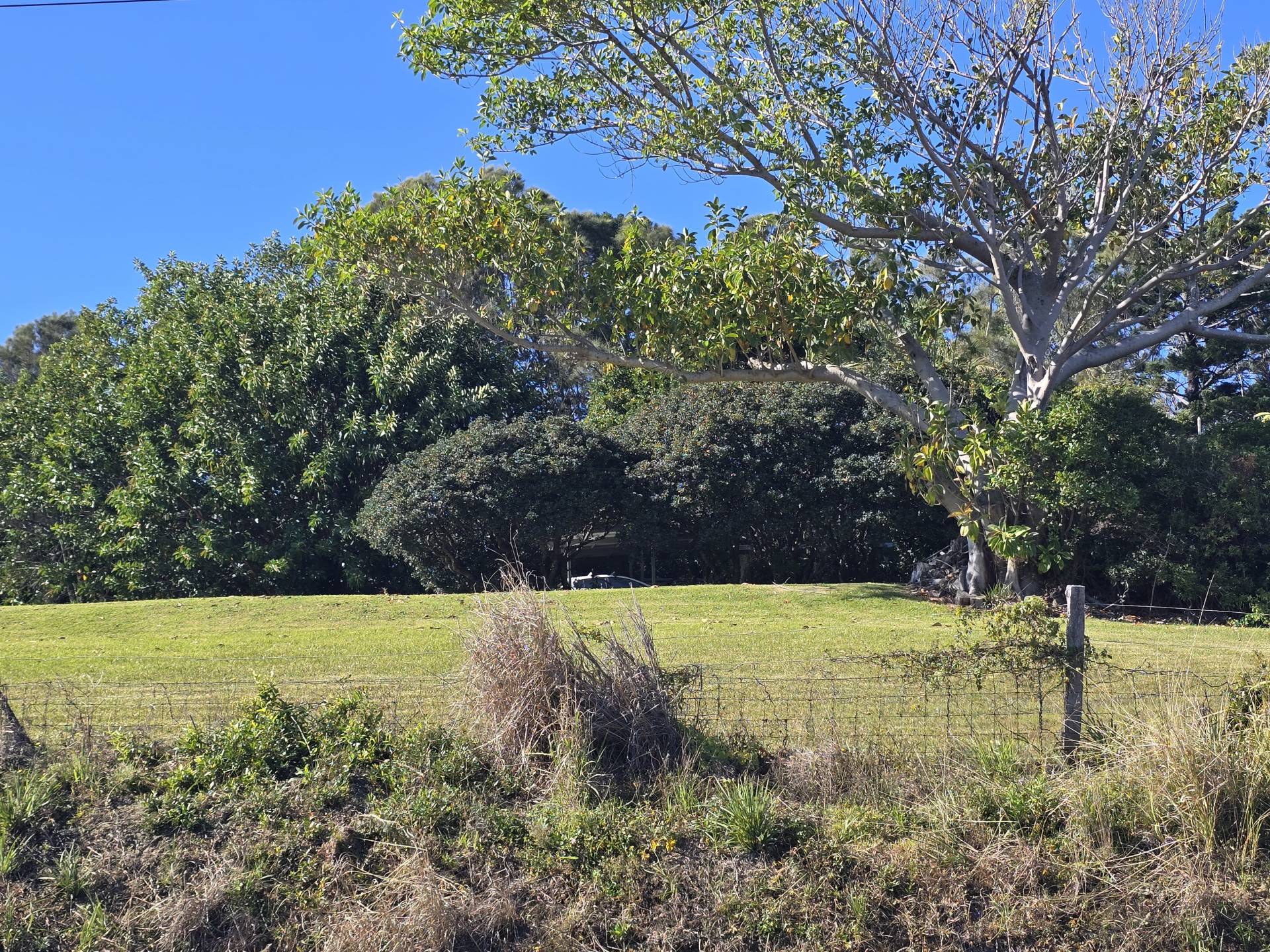 Lot 5 Elouera Drive, Sapphire Beach - Thumbnail 8