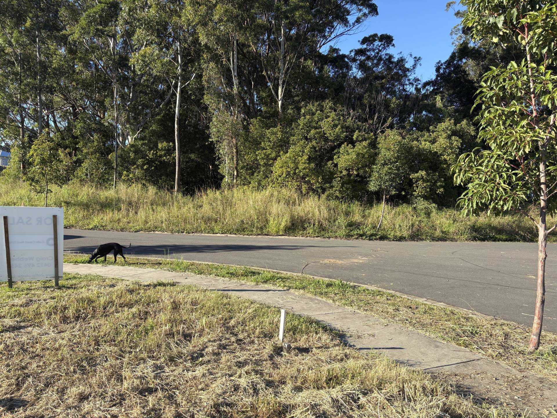 1a Song Trail, Coffs Harbour - Thumbnail 7
