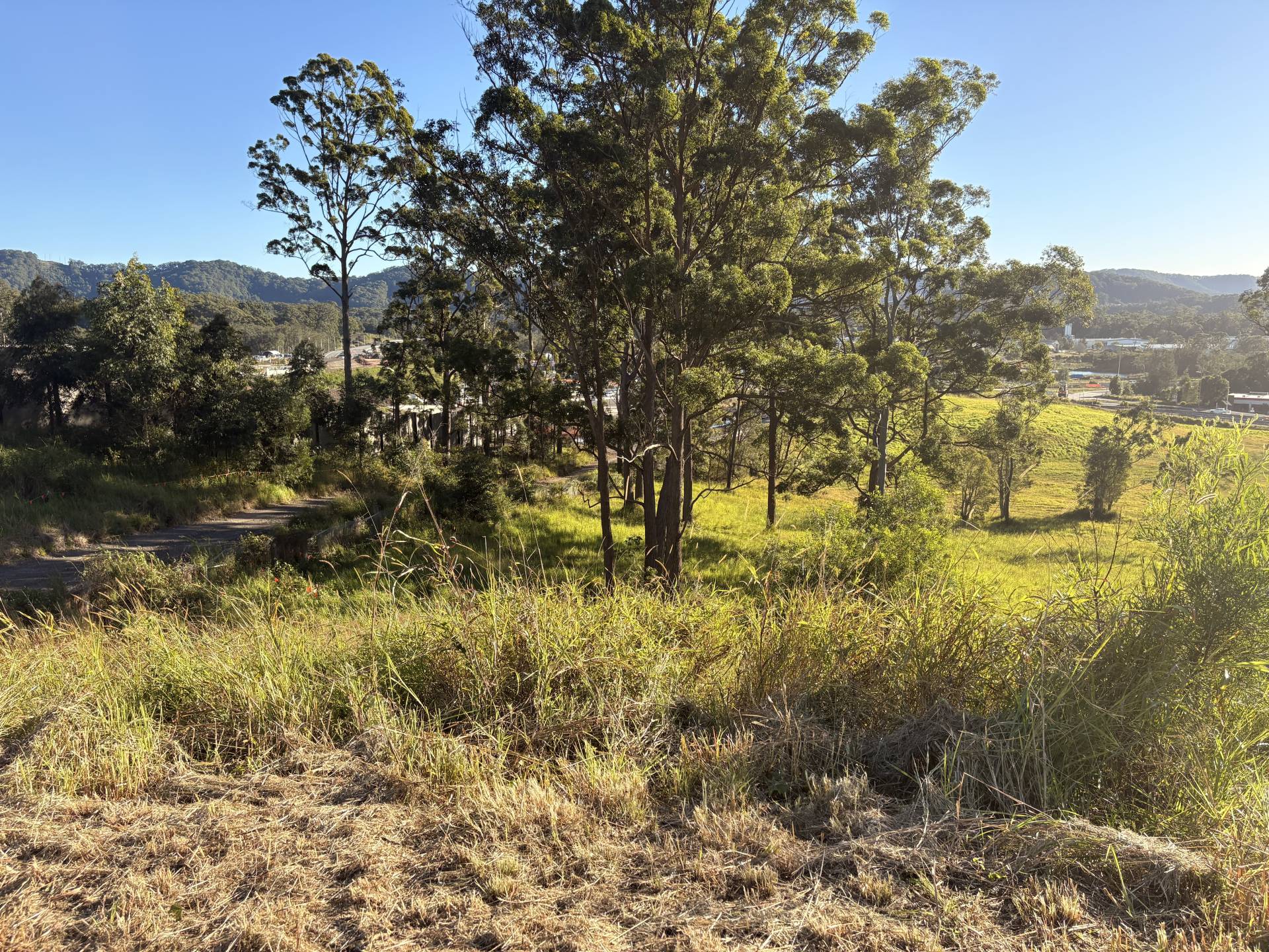 1a Song Trail, Coffs Harbour - Thumbnail 6