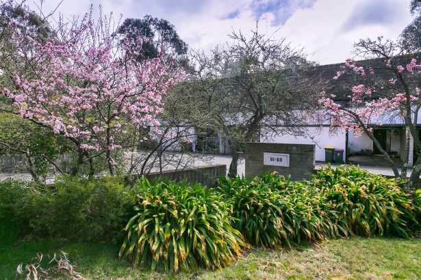 Tidy Townhouse in Great Location!