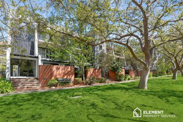 Delightful Apartment in a Beautiful Tree-Lined Street!