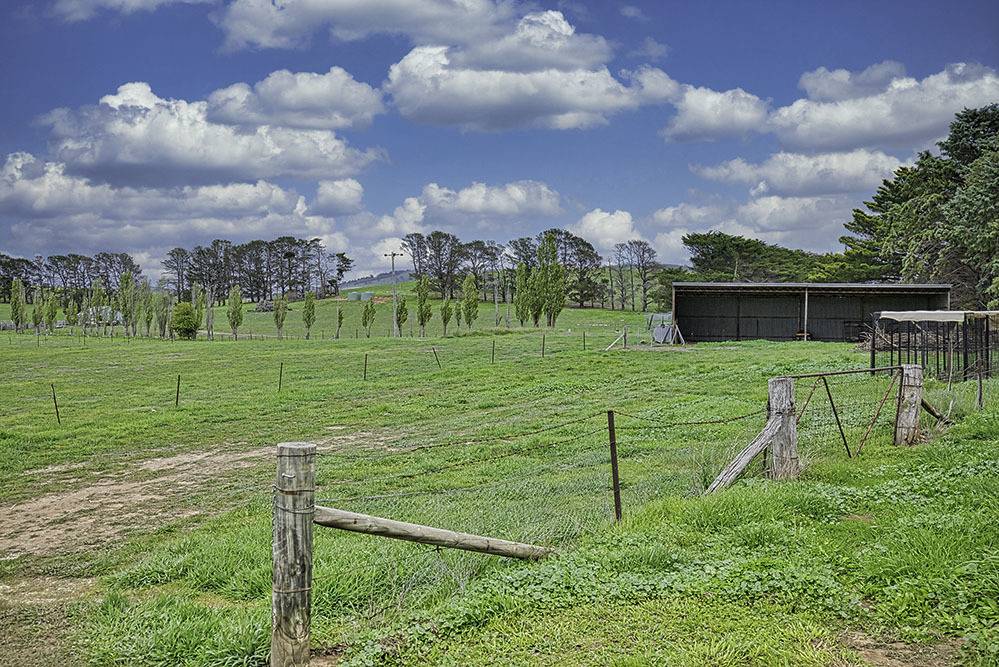 Molonglo Estate Realty