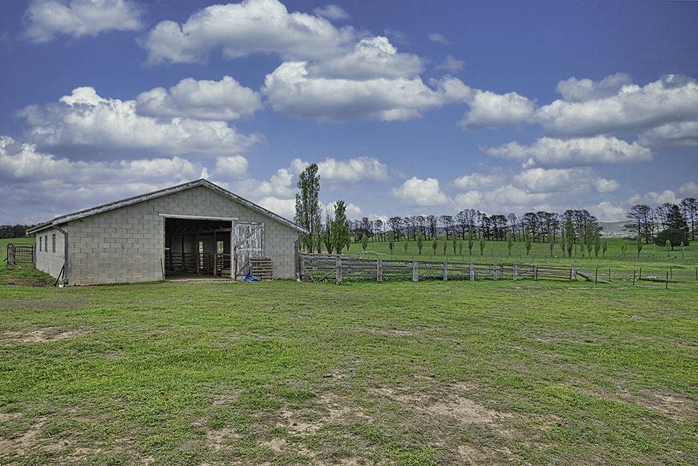 Molonglo Estate Realty