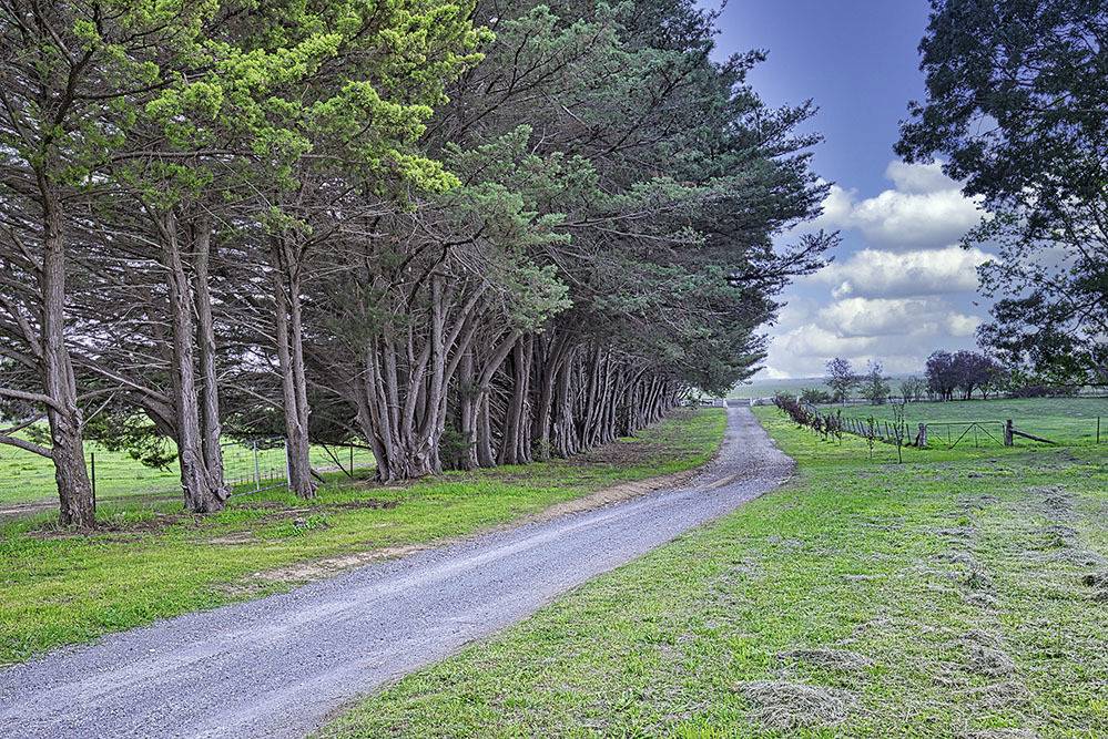 Molonglo Estate Realty