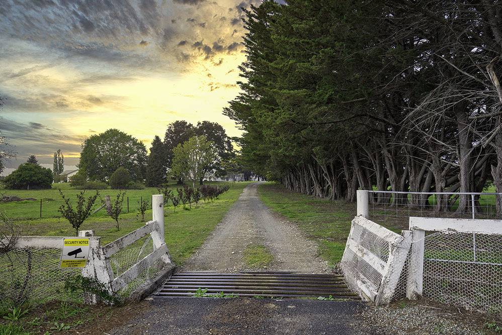 Molonglo Estate Realty