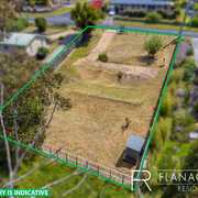 The best in the business!