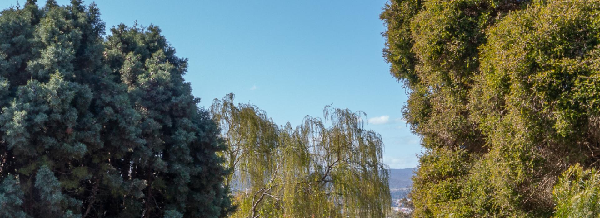 For Sale | Flanagan Residential | Paul Flanagan | Trevallyn