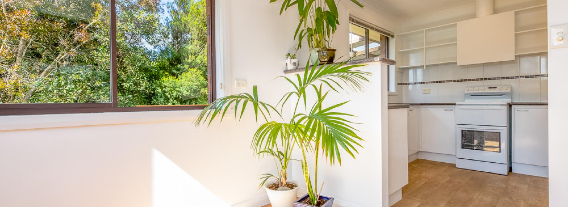 For Sale | Flanagan Residential | Paul Flanagan | Trevallyn