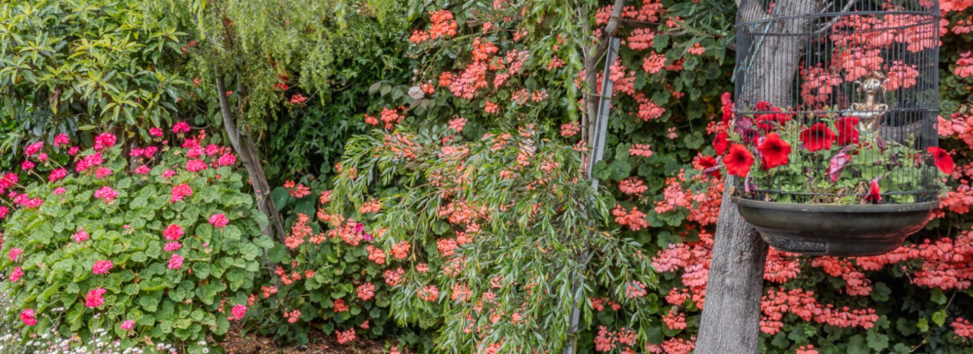 For Sale | Flanagan Residential | West Launceston | Paul Flanagan