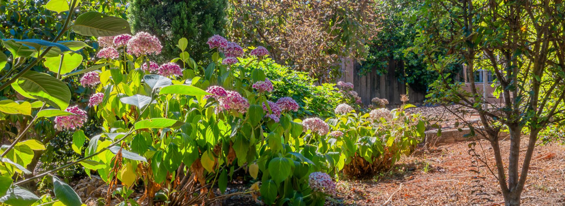 For Sale | Newstead | Paul Flanagan | Flanagan Residential