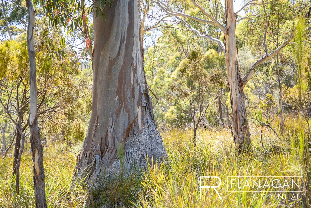 181 Sheepwash Rd, Alonnah - Thumbnail 7