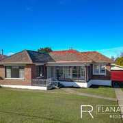 Professional Service