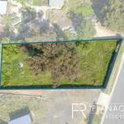 Informative and Knowledgable Agent