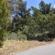 Hardest working estate agent in Tassie.