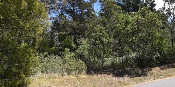 David Robinson testimonial image