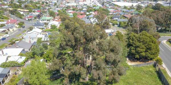 Sean Dunstan testimonial image