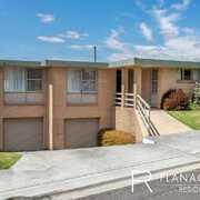 Professional is an Understatement