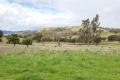 Lifestyle & Acres close to Tamworth