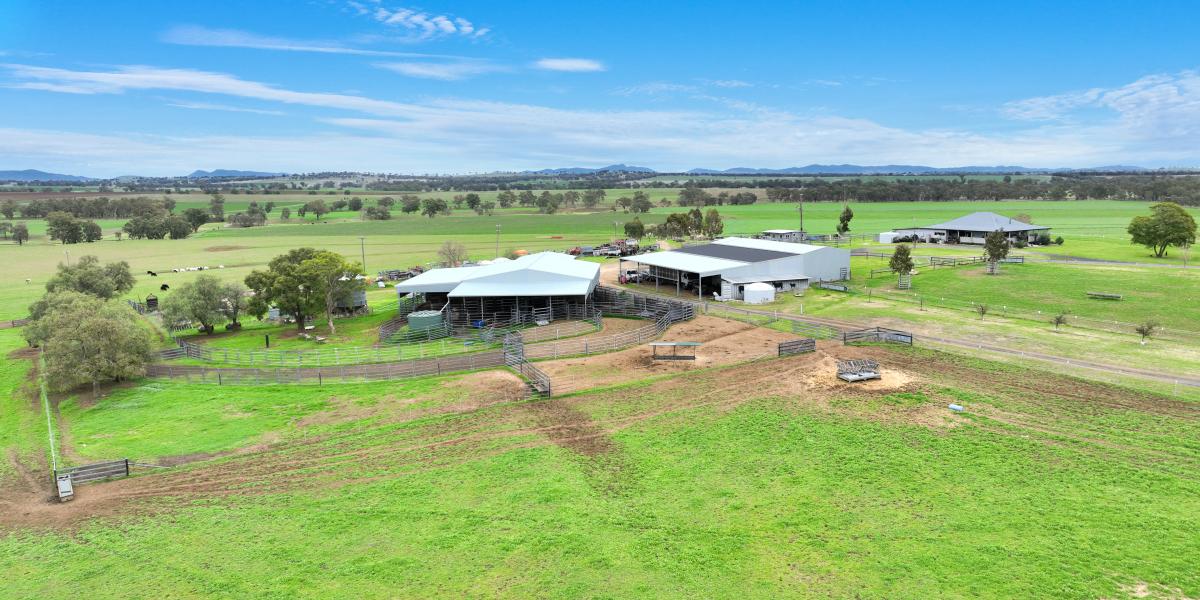 Loomberah Park