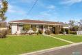 Good solid family home in a superb locale on a block of 644m2