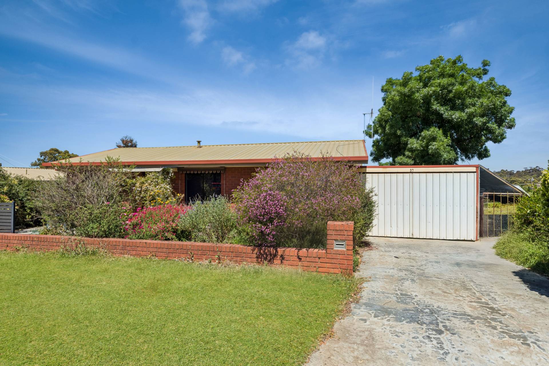 37 Franklin Street, Sailors Gully - Image 1