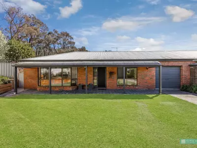 Peter D testimonial image