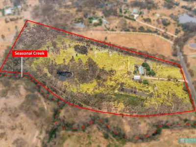 Alex  G testimonial image