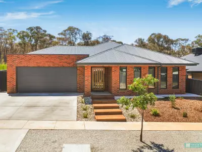 Bik S testimonial image