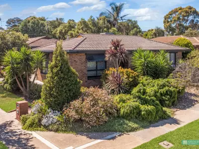 Minn T testimonial image